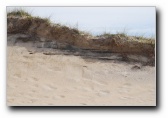 [Click to enlarge]